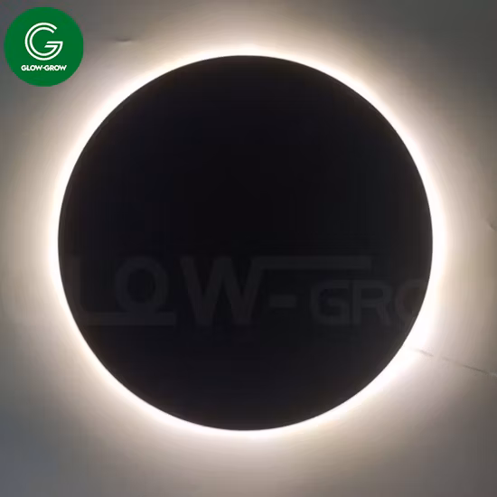 30cm 평면 나무 스타 모티브 빛 크리스마스 크리스마스 휴일 홈 축제 장식에 대 한 흰색 척추와 LED 요정 빛